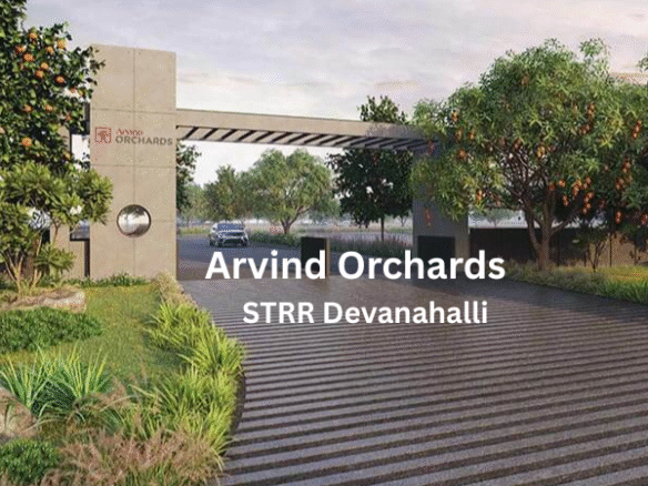Arvind-Orchards